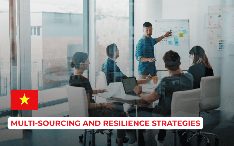 Multi-Sourcing and Resilience Strategies