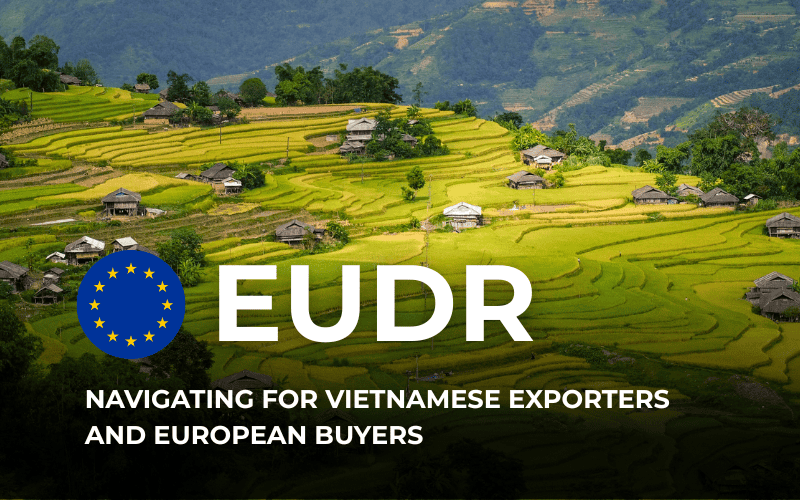 Navigating EUDR for Vietnamese Exporters and European Buyers